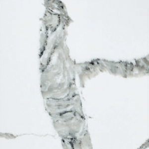 Photo of Calacata Hermosa